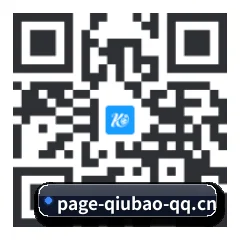 系统版 iOS 二维码